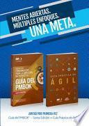 Libro A Guide to the Project Management Body of Knowledge (PMBOK(R) Guide-Sixth Edition / Agile Practice Guide Bundle (SPANISH)