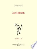 Libro Accidente