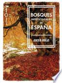 Libro Bosques imprescindibles de España