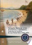 Libro Campaña Nacional, crisis económica y capitalismo