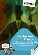 Libro Cuentos bajo la lupa