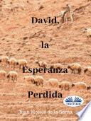 Libro David, La Esperanza Perdida