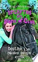 Libro Destino y los caballos salvajes / Destiny and the Wild Horses