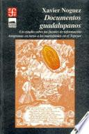 Libro Documentos guadalupanos
