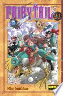 Libro Fairy Tail 11