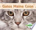 Libro Gatos Maine Coon