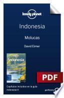 Libro Indonesia 5_5. Molucas