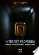 Libro INTERNET PROFUNDA