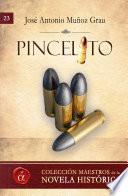 Libro Pincelito