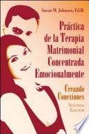 Libro Práctica de la terapia matrimonial concentrada emocionalmente