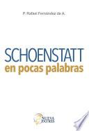 Libro Schoenstatt en pocas palabras