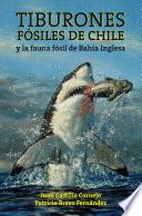 Libro Tiburones fósiles de Chile y la fauna fósil de Bahía Inglesa