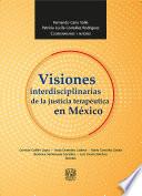 Libro Visiones interdisciplinarias de la justicia terapéutica en México